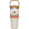 STANLEY IceFlow 2.0 Flip Straw Tumbler, 30 oz, Champagne Plus(Cream Mesh)