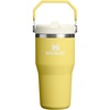 STANLEY IceFlow 2.0 Flip Straw Tumbler, 30 oz, Champagne Plus(Daffodil)