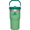 STANLEY IceFlow 2.0 Flip Straw Tumbler, 30 oz, Champagne Plus(Jade)