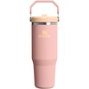 STANLEY IceFlow 2.0 Flip Straw Tumbler, 30 oz, Champagne Plus(Peach Rose)