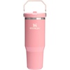 STANLEY IceFlow 2.0 Flip Straw Tumbler, 30 oz, Champagne Plus(Pink Mesa)