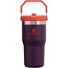 STANLEY IceFlow 2.0 Flip Straw Tumbler, 30 oz, Champagne Plus(Plum)