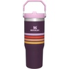 STANLEY IceFlow 2.0 Flip Straw Tumbler, 30 oz, Champagne Plus(Plum Stripe)