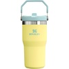 STANLEY IceFlow 2.0 Flip Straw Tumbler, 30 oz, Champagne Plus(Pomelo)