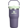STANLEY IceFlow 2.0 Flip Straw Tumbler, 30 oz, Champagne Plus(Purple Umbra)