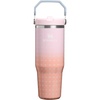 STANLEY IceFlow 2.0 Flip Straw Tumbler, 30 oz, Champagne Plus(Sorbet Plus)