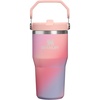 STANLEY IceFlow 2.0 Flip Straw Tumbler, 30 oz, Champagne Plus(Sunset Spiral)