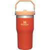 STANLEY IceFlow 2.0 Flip Straw Tumbler, 30 oz, Champagne Plus(Tigerlily)
