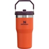 STANLEY IceFlow 2.0 Flip Straw Tumbler, 30 oz, Champagne Plus(Tigerlily Plum)