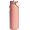 STANLEY IceFlow Flip Straw 2.0 Bottle, 24 oz, Blue Dream Gradient(Exclusive Sienna)