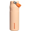 Stanley 1913 Flip Straw Sports Water Bottle 0.7L – Pacific Hypergrip(Orange Sherbet)