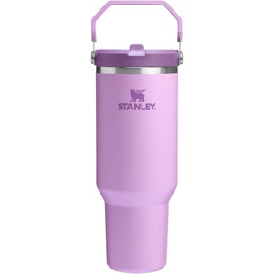 STANLEY IceFlow 2.0 Flip Straw Tumbler, 30 oz, Champagne Plus(라일락 2.0)