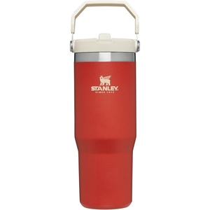 STANLEY IceFlow 2.0 Flip Straw Tumbler, 30 oz, Champagne Plus(Carnelian)