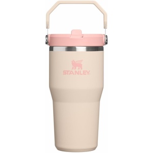 STANLEY IceFlow 2.0 Flip Straw Tumbler, 30 oz, Champagne Plus(Champagne)