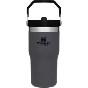 STANLEY IceFlow 2.0 Flip Straw Tumbler, 30 oz, Champagne Plus(Charcoal)