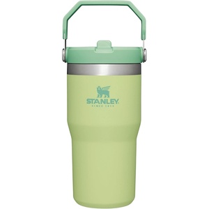 STANLEY IceFlow 2.0 Flip Straw Tumbler, 30 oz, Champagne Plus(Citron)