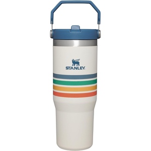 STANLEY IceFlow 2.0 Flip Straw Tumbler, 30 oz, Champagne Plus(Cream Stripe)