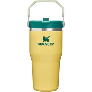 STANLEY IceFlow 2.0 Flip Straw Tumbler, 30 oz, Champagne Plus(Daffodil Emerald)