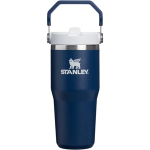 STANLEY IceFlow 2.0 Flip Straw Tumbler, 30 oz, Champagne Plus(Dark Navy)