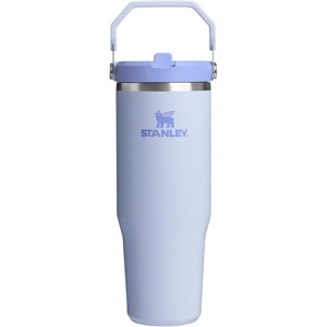 STANLEY IceFlow 2.0 Flip Straw Tumbler, 30 oz, Champagne Plus(Dew Drop)