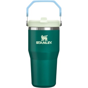 STANLEY IceFlow 2.0 Flip Straw Tumbler, 30 oz, Champagne Plus(Emerald Honeydew)