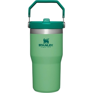 STANLEY IceFlow 2.0 Flip Straw Tumbler, 30 oz, Champagne Plus(Jade)
