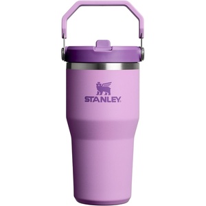 STANLEY IceFlow 2.0 Flip Straw Tumbler, 30 oz, Champagne Plus(Lilac 2.0)