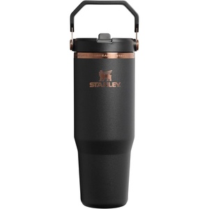 STANLEY IceFlow 2.0 Flip Straw Tumbler, 30 oz, Champagne Plus(Messi Goat Black)