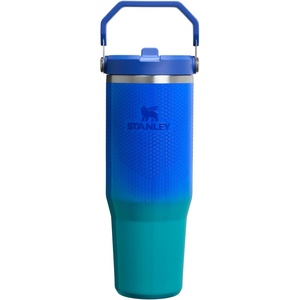 STANLEY IceFlow 2.0 Flip Straw Tumbler, 30 oz, Champagne Plus(Pacific Hypergrip)