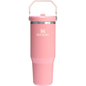 STANLEY IceFlow 2.0 Flip Straw Tumbler, 30 oz, Champagne Plus(Pink Mesa)