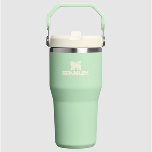 STANLEY IceFlow 2.0 Flip Straw Tumbler, 30 oz, Champagne Plus(Pistachio)