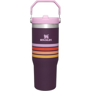 STANLEY IceFlow 2.0 Flip Straw Tumbler, 30 oz, Champagne Plus(Plum Stripe)