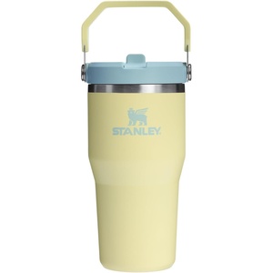 STANLEY IceFlow 2.0 Flip Straw Tumbler, 30 oz, Champagne Plus(Pomelo 2.0)