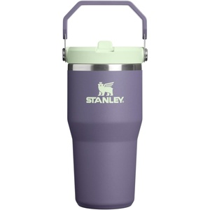 STANLEY IceFlow 2.0 Flip Straw Tumbler, 30 oz, Champagne Plus(Purple Umbra)