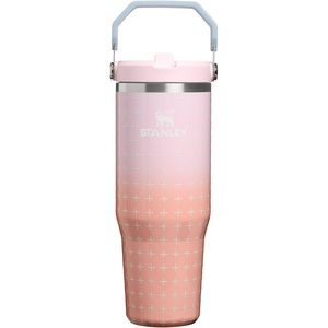 STANLEY IceFlow 2.0 Flip Straw Tumbler, 30 oz, Champagne Plus(Sorbet Plus)