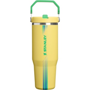 STANLEY IceFlow 2.0 Flip Straw Tumbler, 30 oz, Champagne Plus(Team Yellow Green)