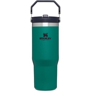 STANLEY IceFlow 2.0 Flip Straw Tumbler, 30 oz, Champagne Plus(Tidepool)
