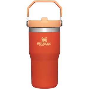 STANLEY IceFlow 2.0 Flip Straw Tumbler, 30 oz, Champagne Plus(Tigerlily)