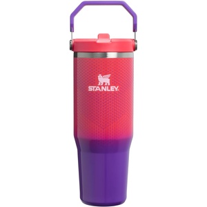 STANLEY IceFlow 2.0 Flip Straw Tumbler, 30 oz, Champagne Plus(Vermilion Hypergrip)