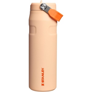Stanley 1913 Flip Straw Sports Water Bottle 0.7L – Pacific Hypergrip(Orange Sherbet)