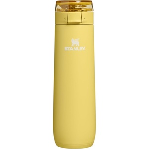 STANLEY Flowstate Spring Bottle, 20 oz, Blossom Plaid(Daffodil)