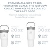 STANLEY IceFlow 2.0 Flip Straw Tumbler, 30 oz, Moonlight Spiral(Iris)