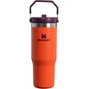 STANLEY IceFlow 2.0 Flip Straw Tumbler, 30 oz, Moonlight Spiral(Tigerlily Plum)