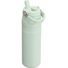 STANLEY IceFlow Flip Straw 2.0 Bottle, 24 oz, Purple Umbra Pixel(Mist)