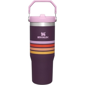 STANLEY IceFlow 2.0 Flip Straw Tumbler, 30 oz, Moonlight Spiral(Plum Stripe)