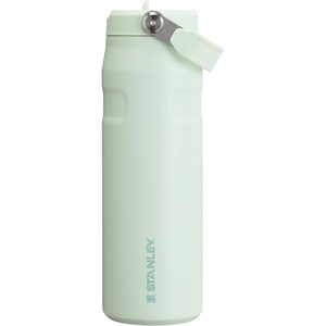 STANLEY IceFlow Flip Straw 2.0 Bottle, 24 oz, Purple Umbra Pixel(Mist)