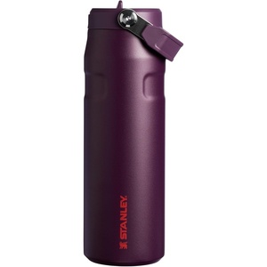 STANLEY IceFlow Flip Straw 2.0 Bottle, 24 oz, Purple Umbra Pixel(Plum)