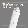 STANLEY Wellspring Bottle, 24 oz, Hammertone Green(Hammertone Frost)