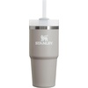 STANLEY Halloween Quencher H2.0 Flow State Tumbler, 20 oz, Black Magic(Ash)