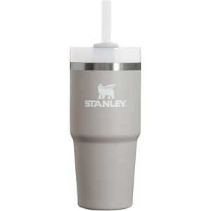 STANLEY Halloween Quencher H2.0 Flow State Tumbler, 20 oz, Black Magic(Ash)